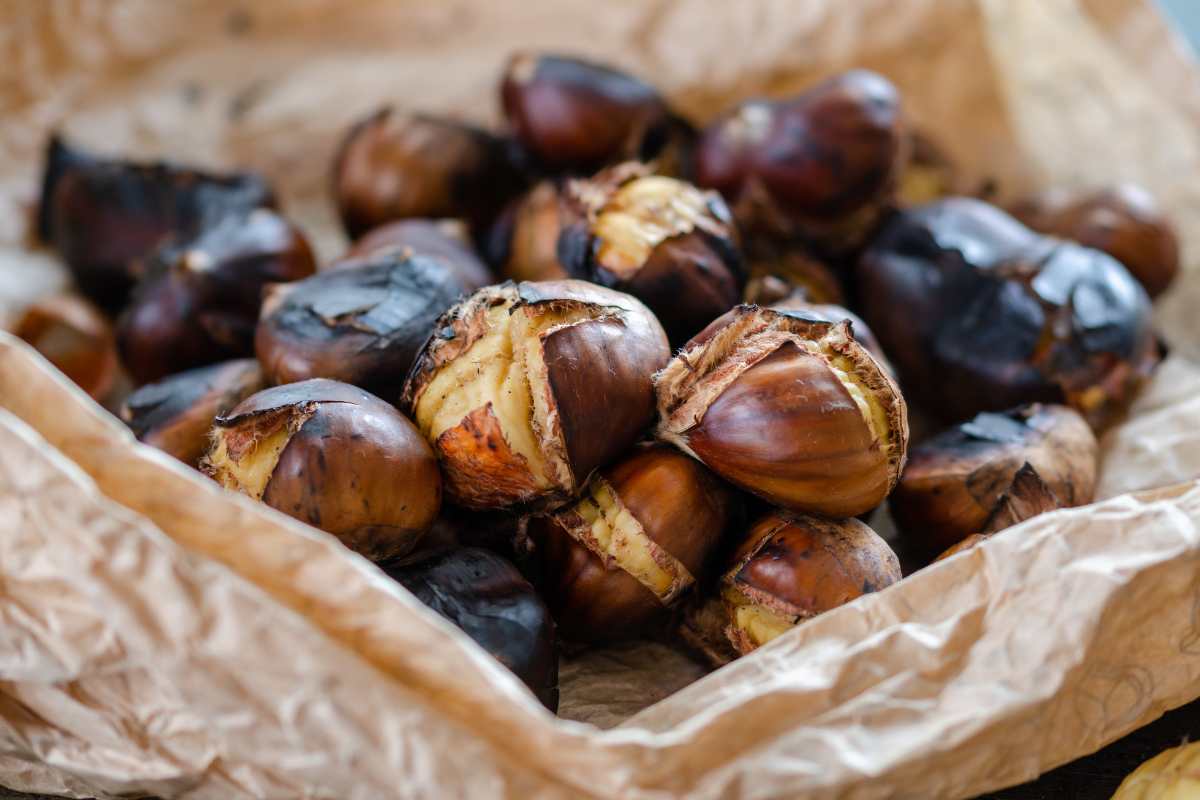 castagne nel cartoccio
