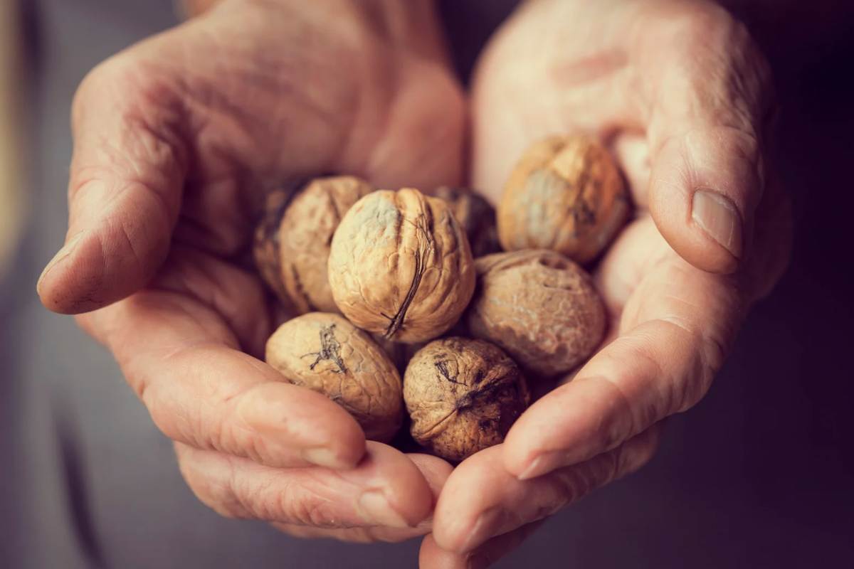 Persona con in mano una manciata di noci