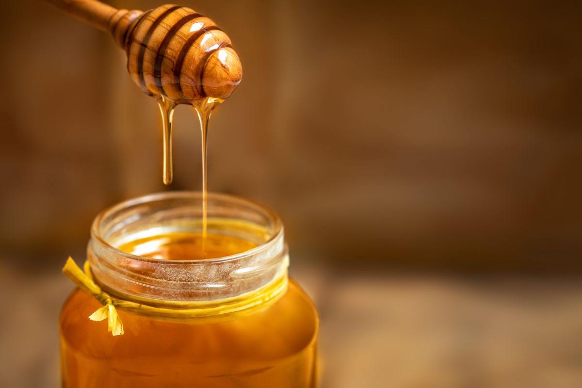 barattolo con miele