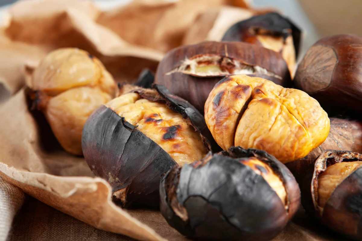 Castagne cotto sparse con guscio aperto