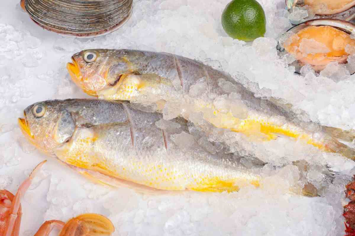 pesce su letto di ghiaccio