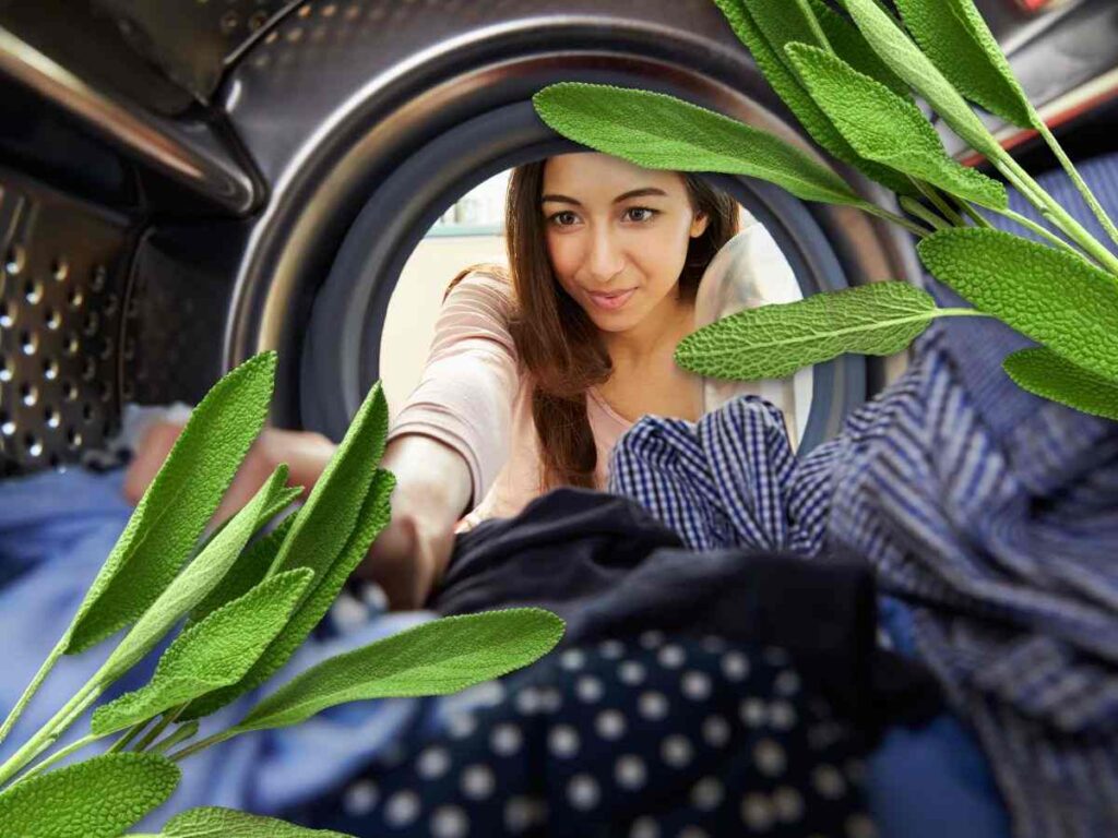 donna inserisce capo in lavatrice e mazzetto di salvia